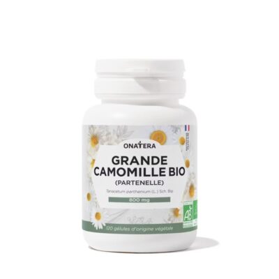 Grande Camomille Partenelle